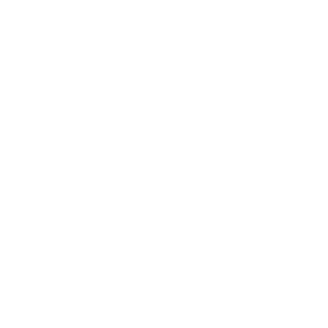 炭焼鮮家たま鳥